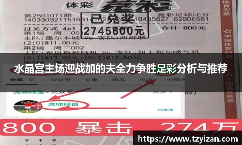 乐发Vlll